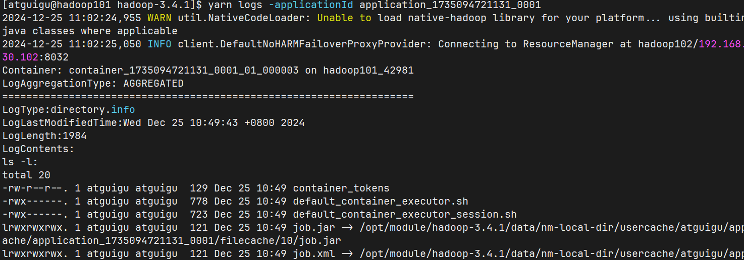 image-20241225105941429