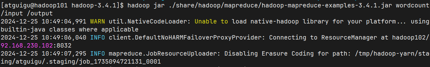 image-20241225105607799
