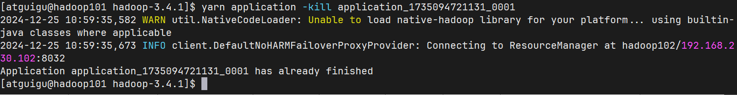 image-20241225105820582