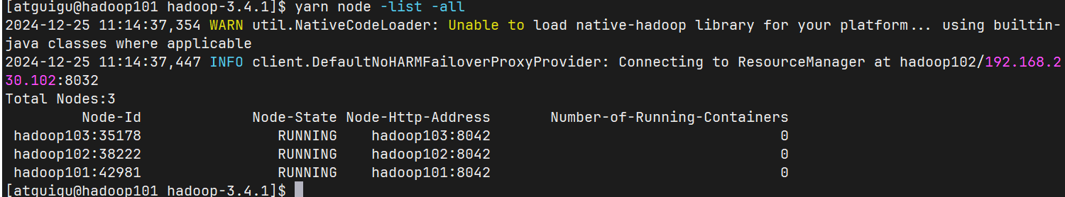 image-20241225111446174