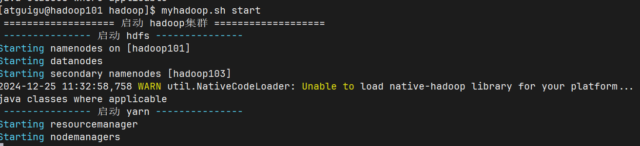 image-20241225113310232