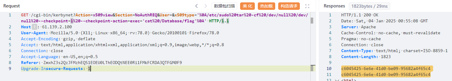 image-20250104182834697
