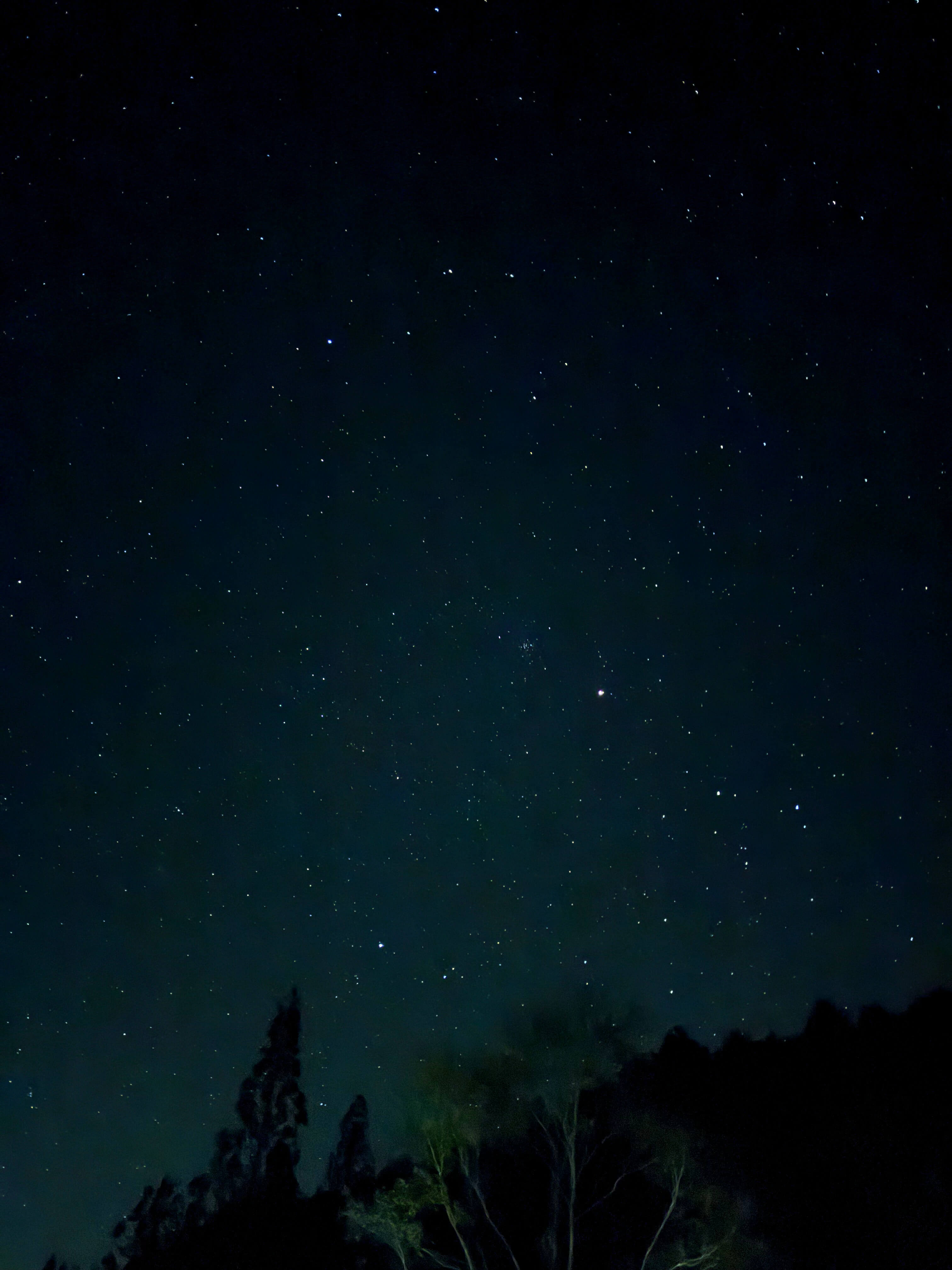 點綴著無數星星的夜空