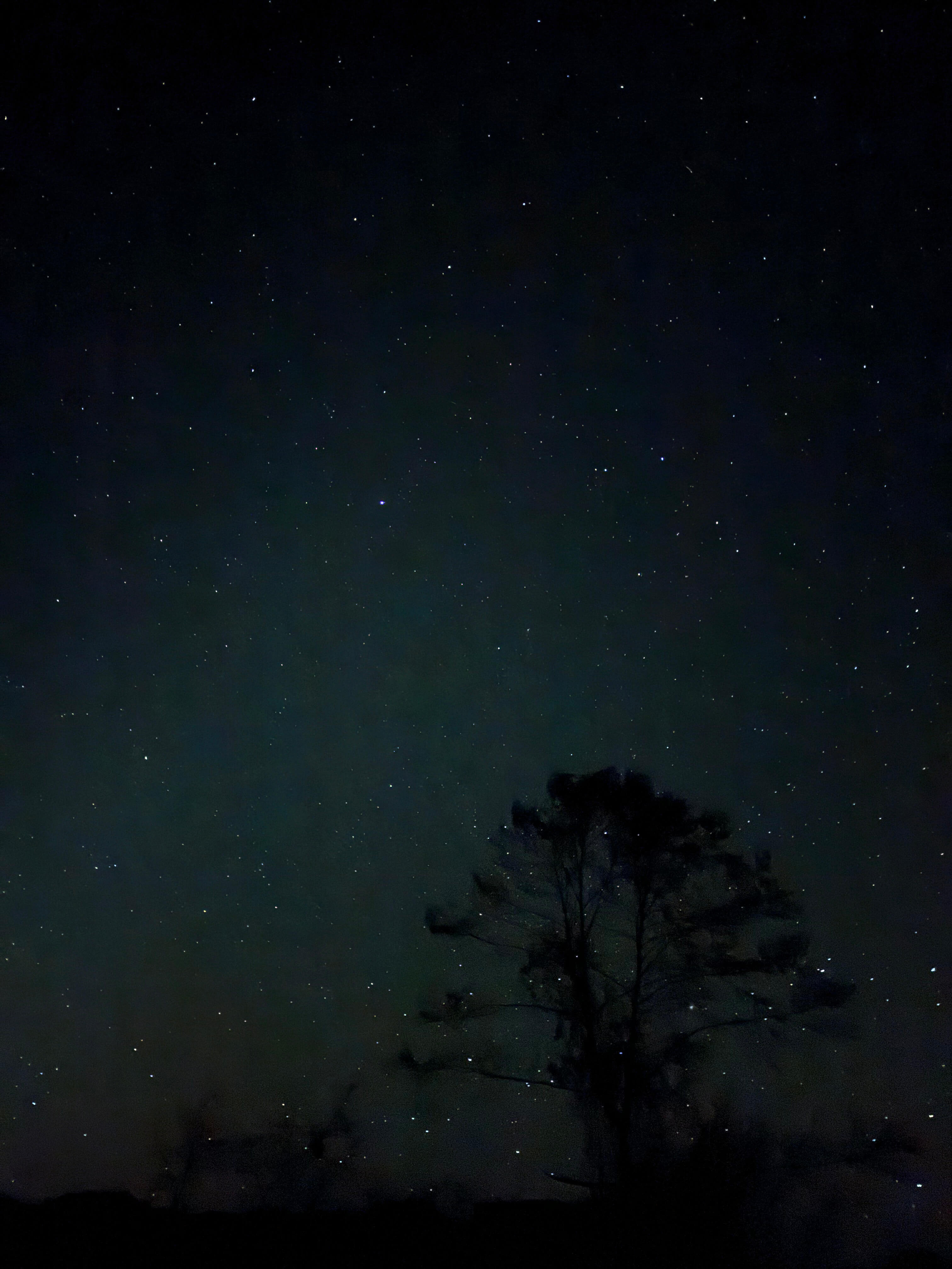 滿天星斗的夜空，銀河清晰可見