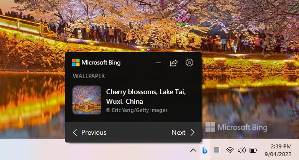 Bing Wallpaper - 每日更新桌面壁纸，桌面壁纸工具