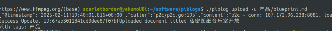 image-20250211210843601