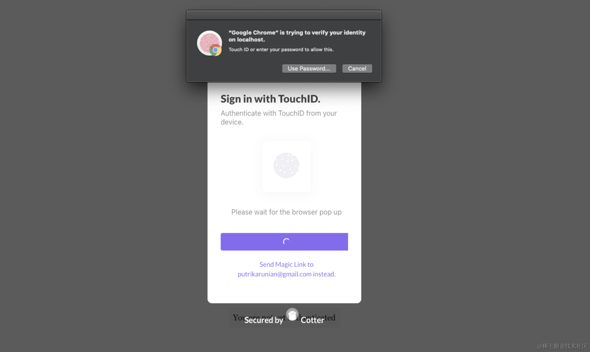 WebAuthn login