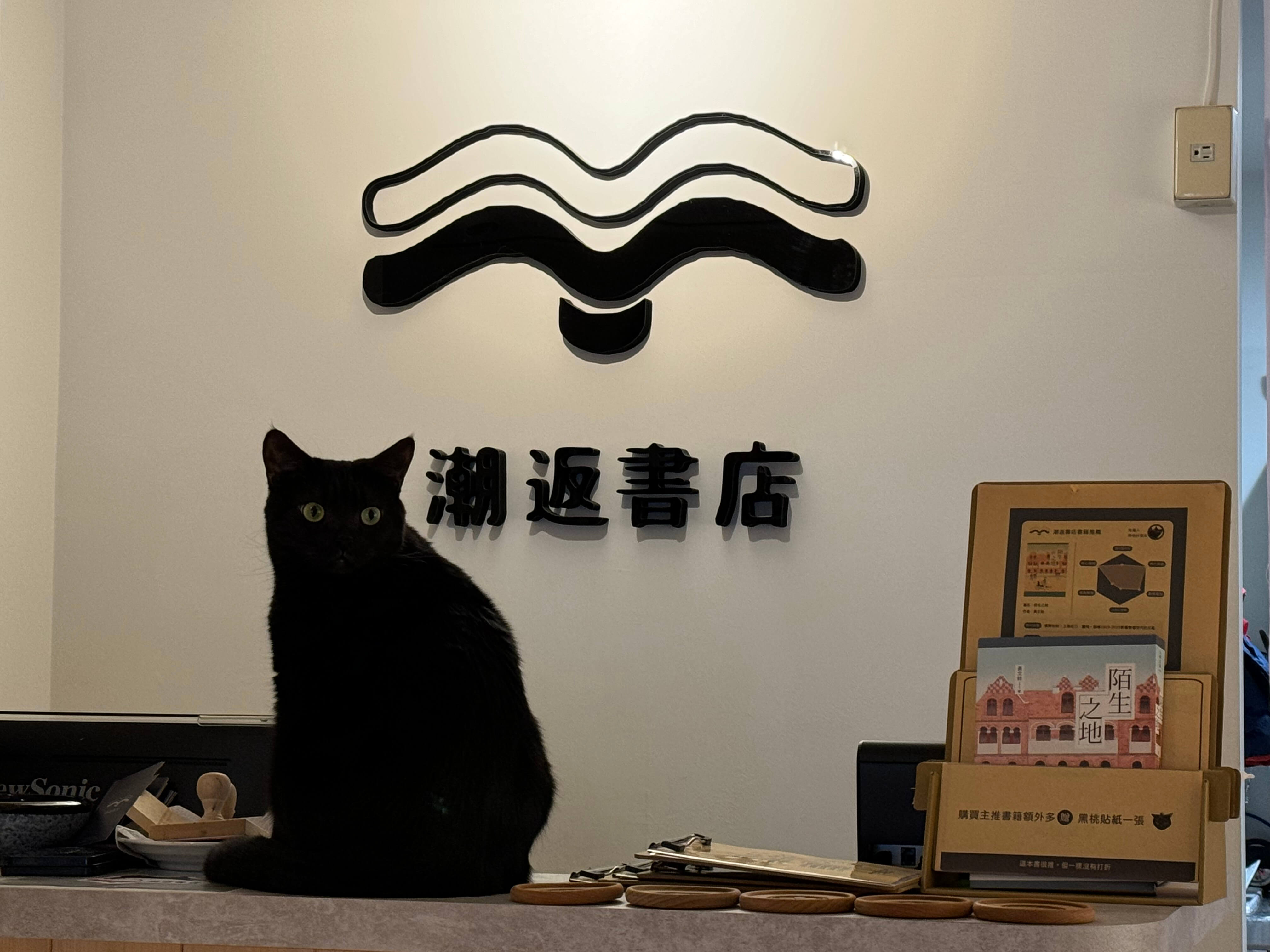 黑桃站在書店門口前，完全像個店長