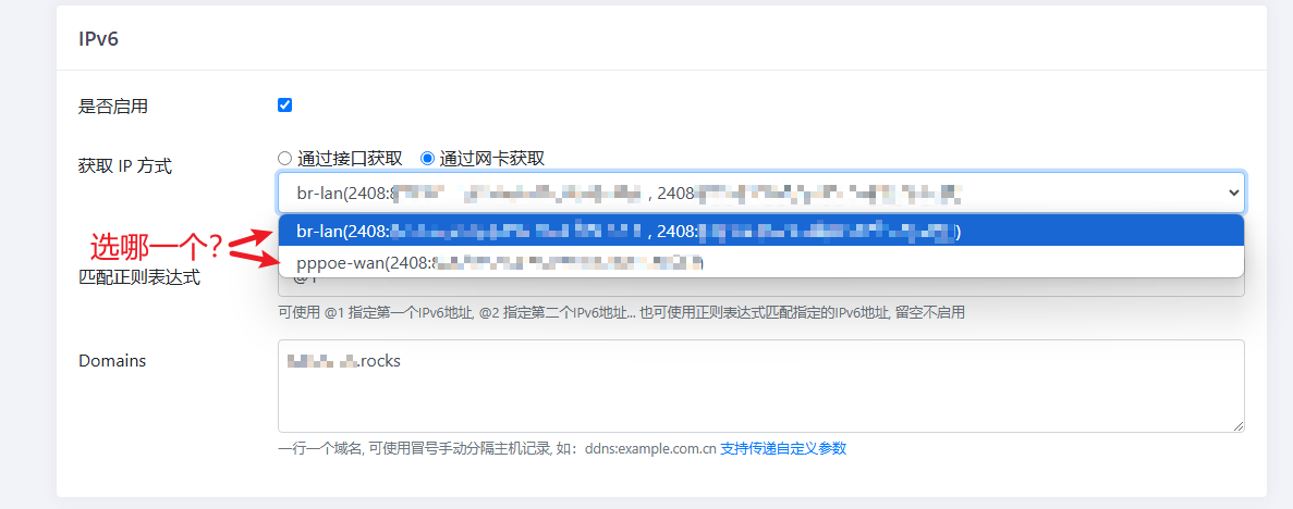 DDNS-GO 获取 IP 方式