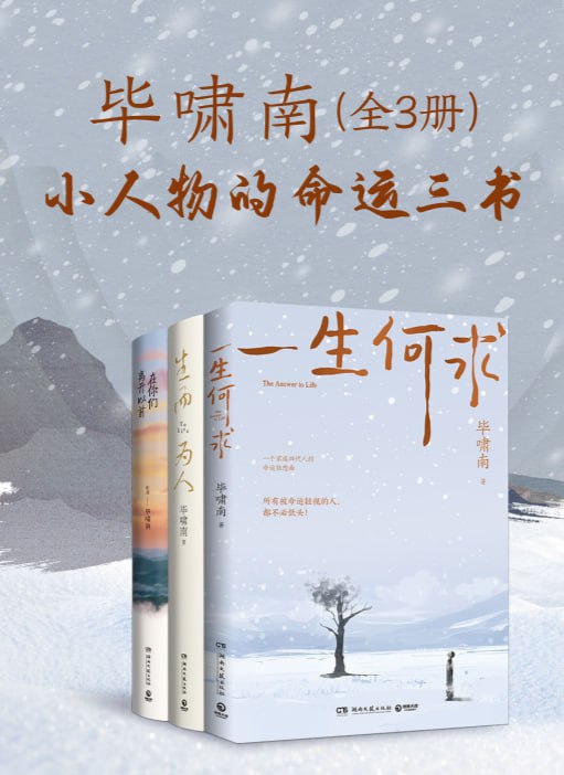 毕啸南：小人物的命运三书（共三册）