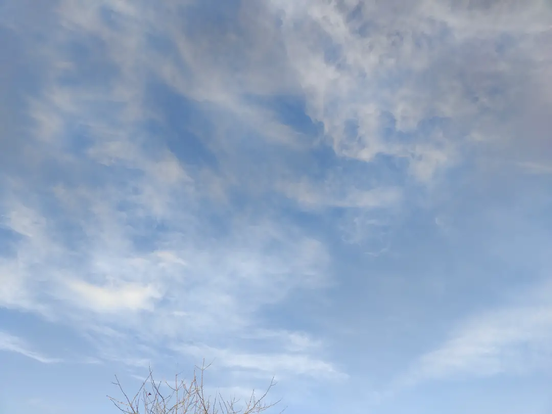 20250227.webp