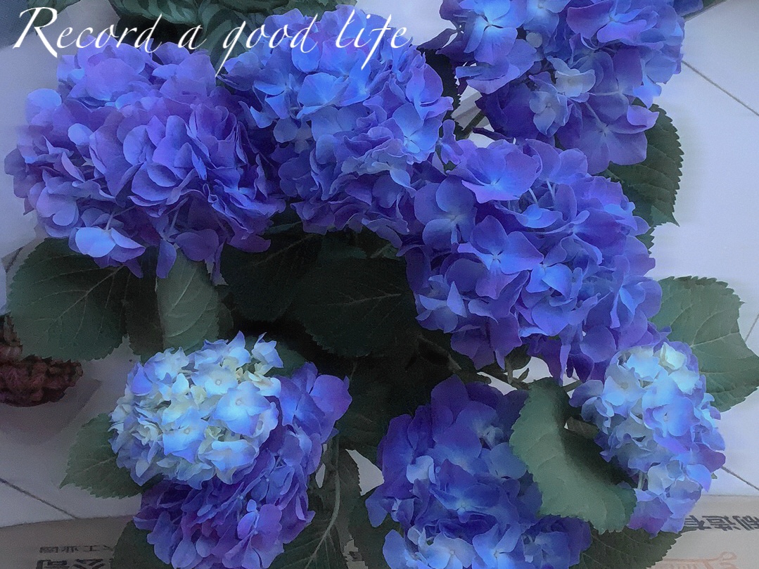 IMG_7096.jpeg