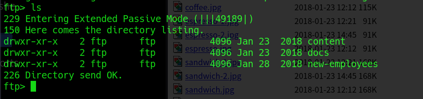 image-20250316054355898