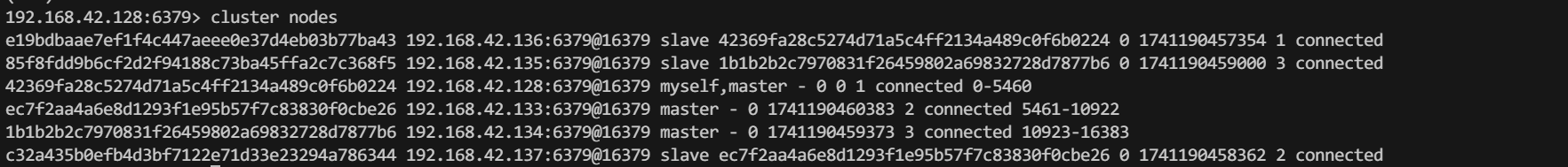 image-20250306000113505