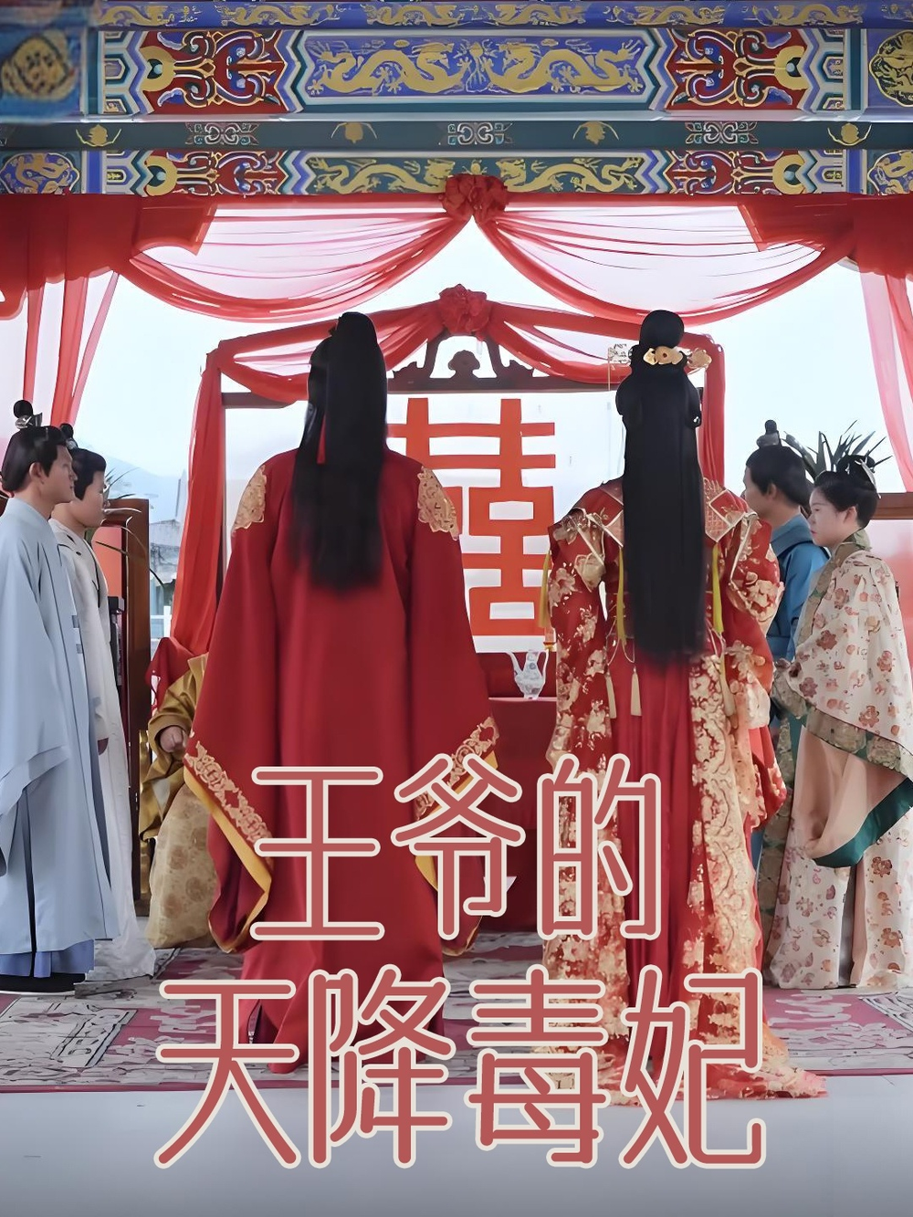 王爷的天降毒妃(2025) - 内地