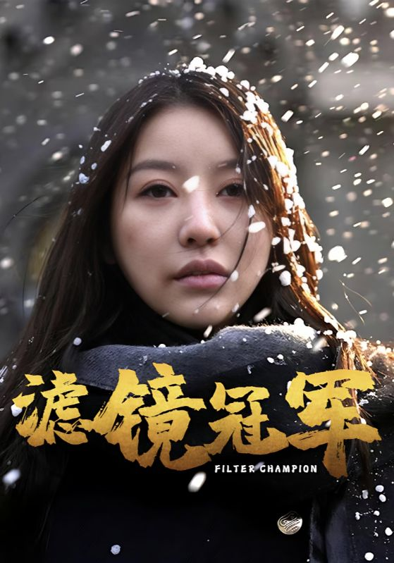 滤镜冠军(2025) - 内地