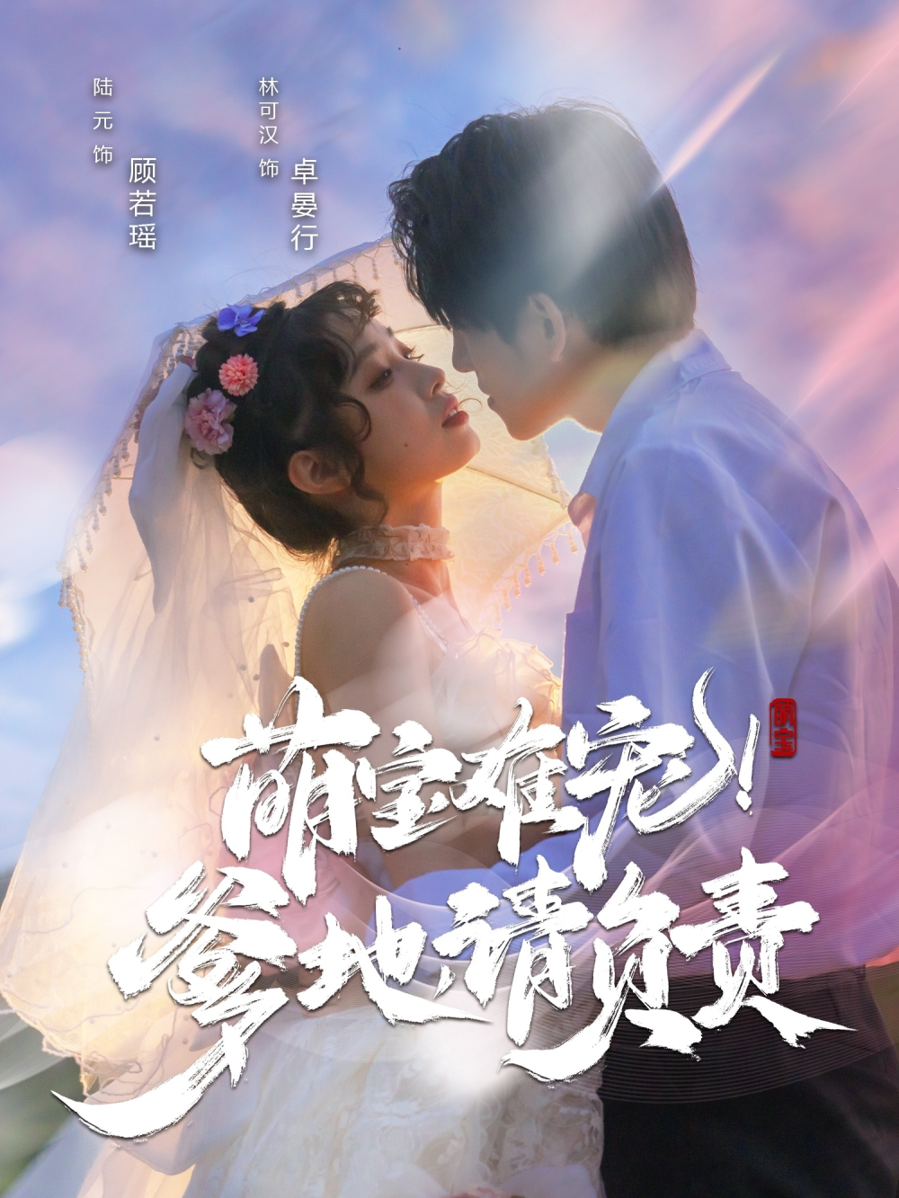 萌宝难宠！爹地请负责(2025) - 内地