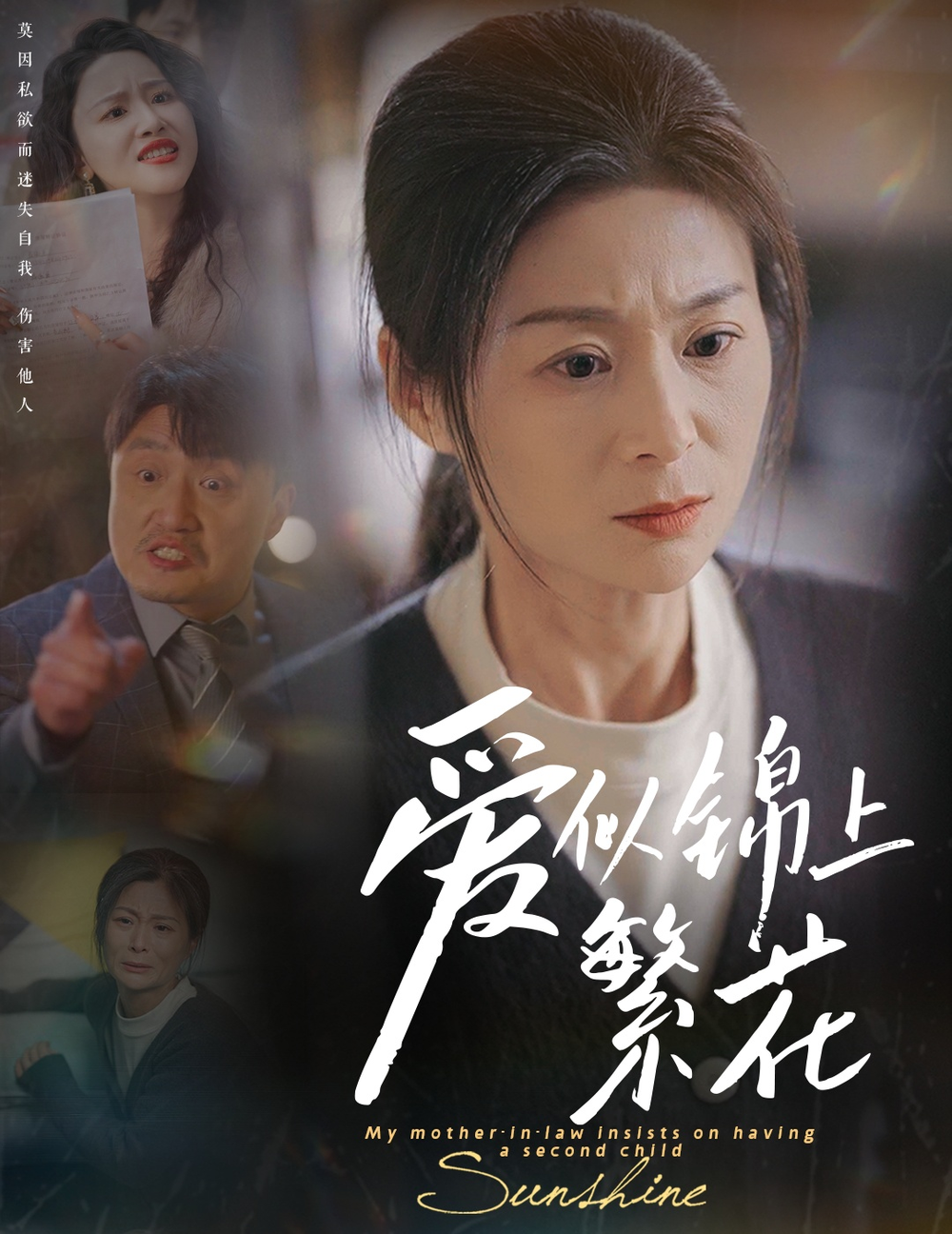 爱似锦上繁花(2025) - 内地