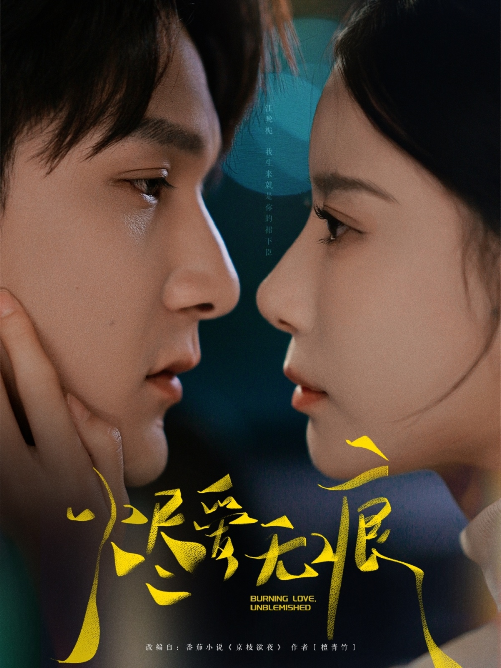 烬爱无痕(2025) - 内地