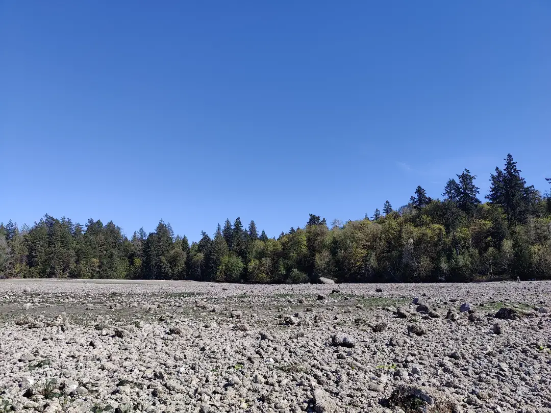 20250423-penrose-point-beach.webp