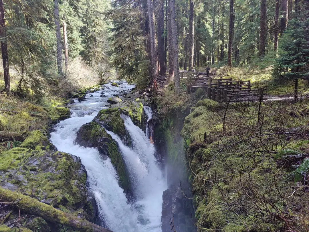 20250423-lovers-lane-sol-duc-falls-01.webp