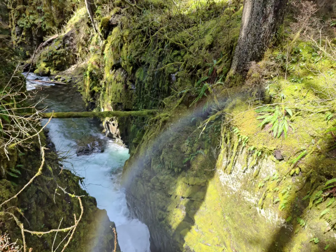 20250423-lovers-lane-sol-duc-falls-02.webp