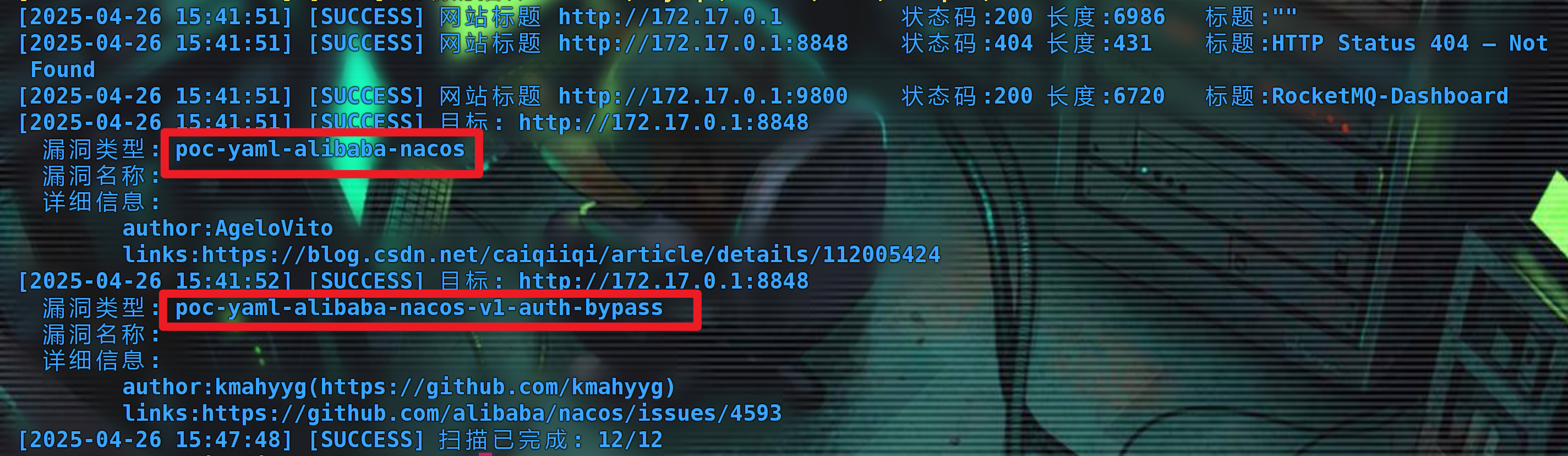 image-20250426235059305