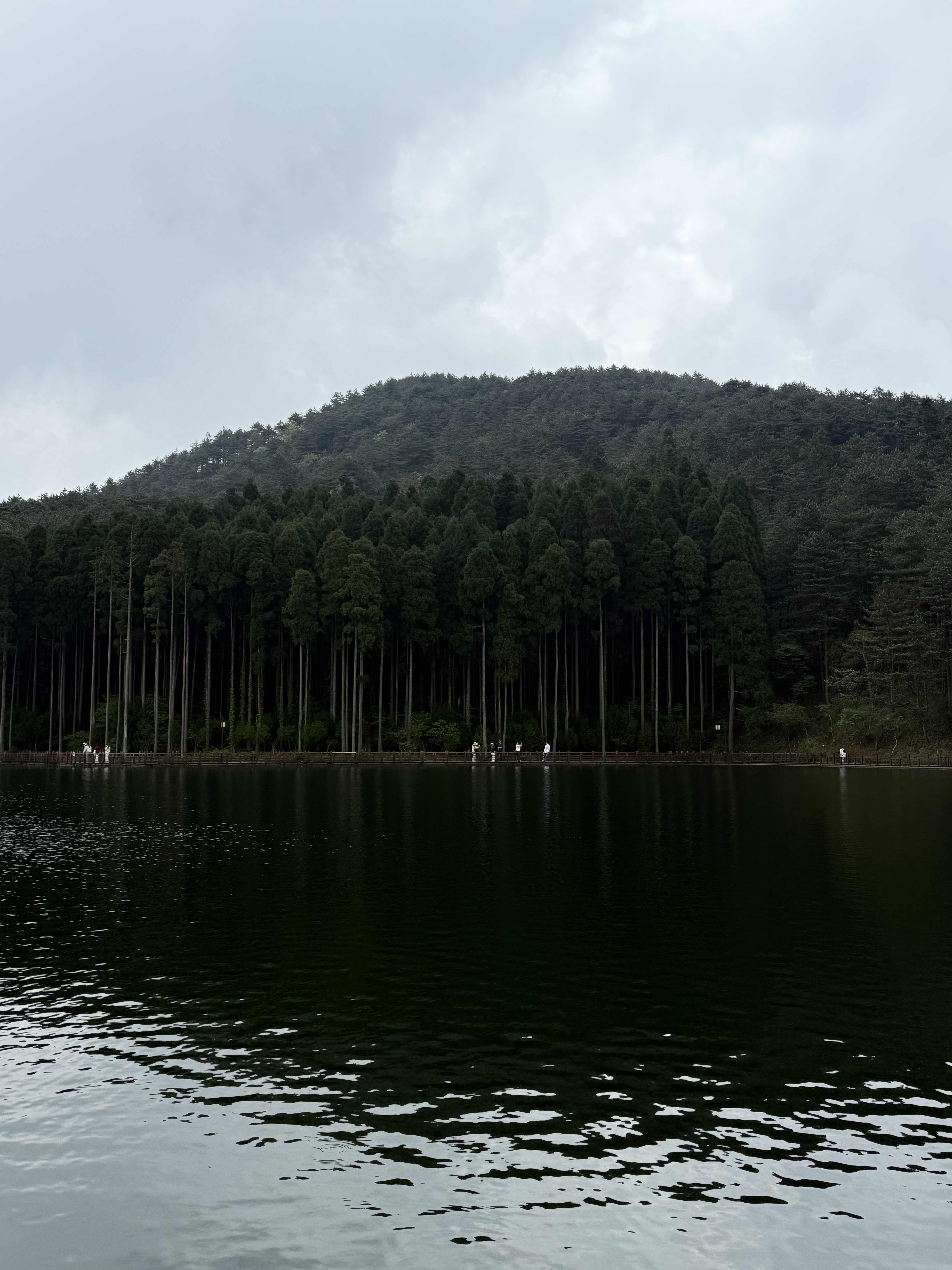 湖畔