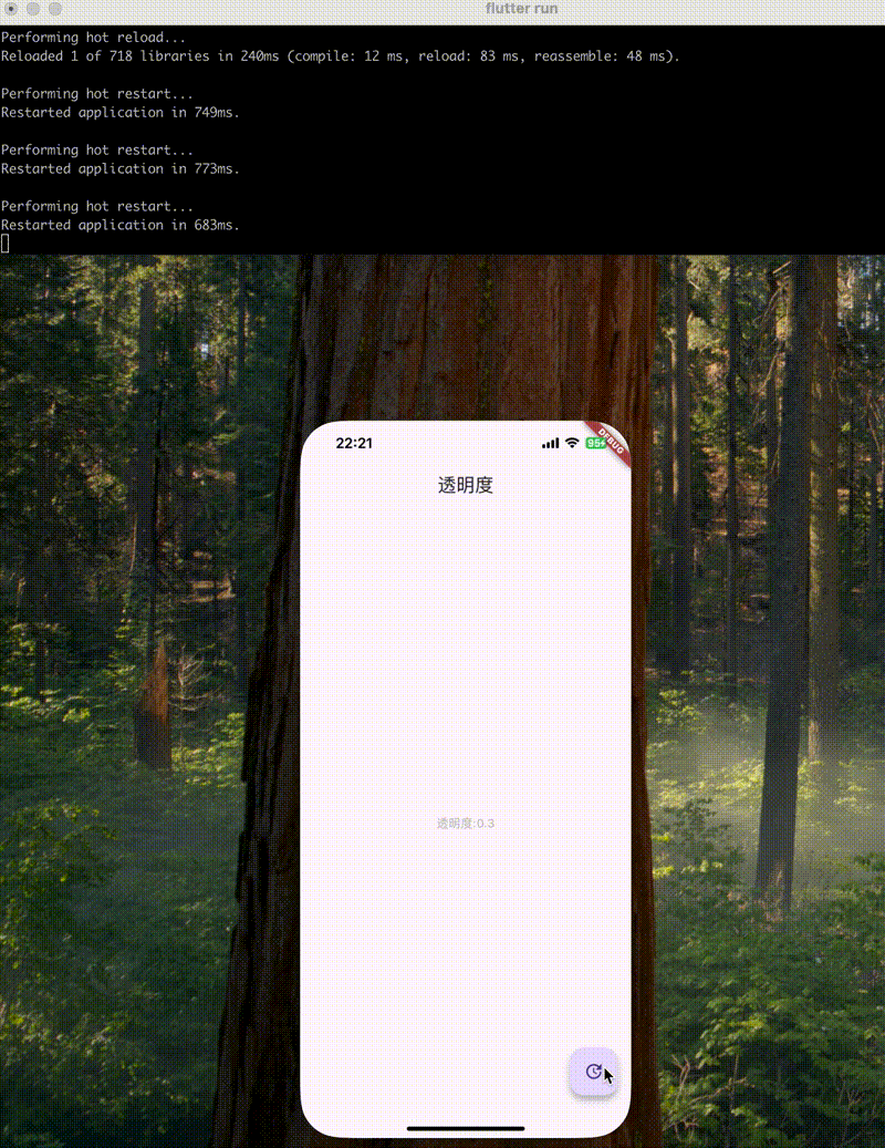 20252222.gif
