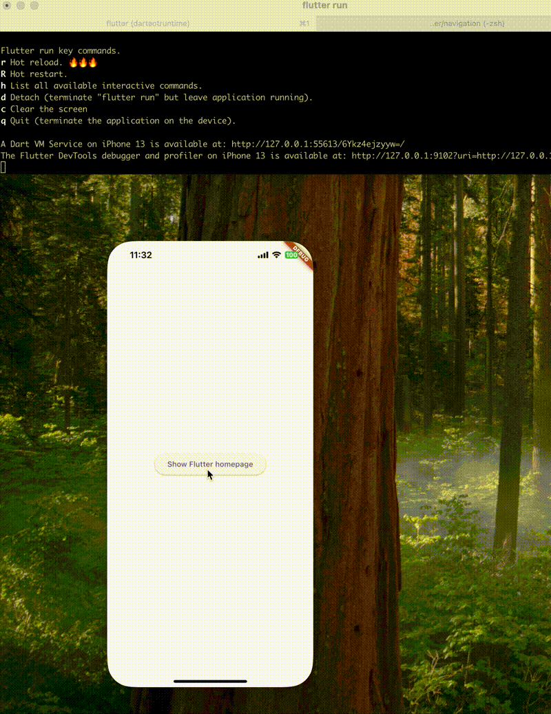 202505111132.gif