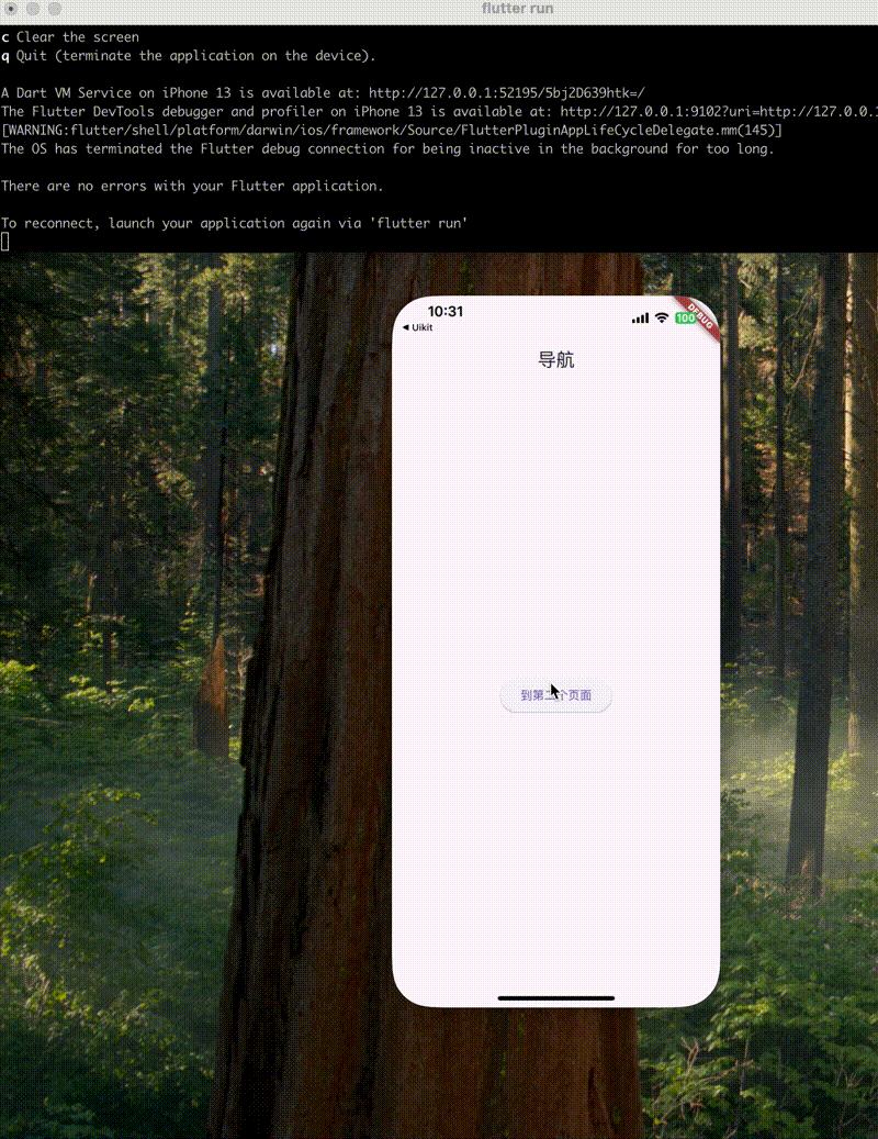 202505111031.gif