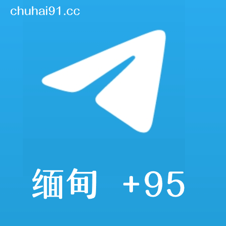 [成品号]电报飞机缅甸+95 API链接 半年~1年老号 促销中🔥