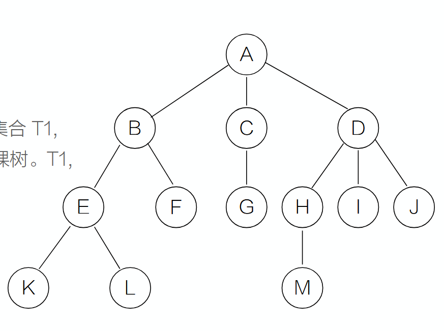 image-20250523204021005