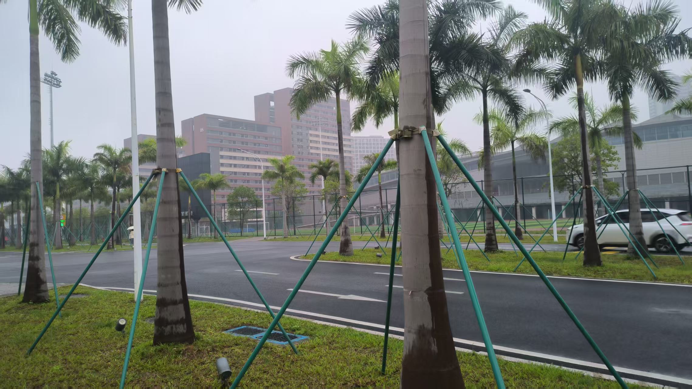 第一次走进华工校园.jpg