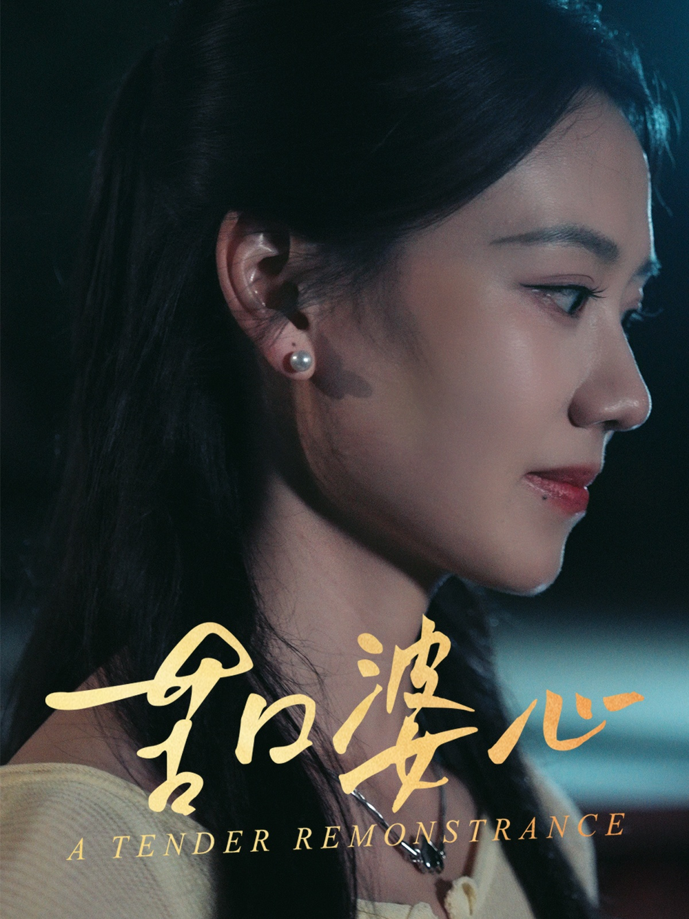 苦口婆心(2025) - 内地