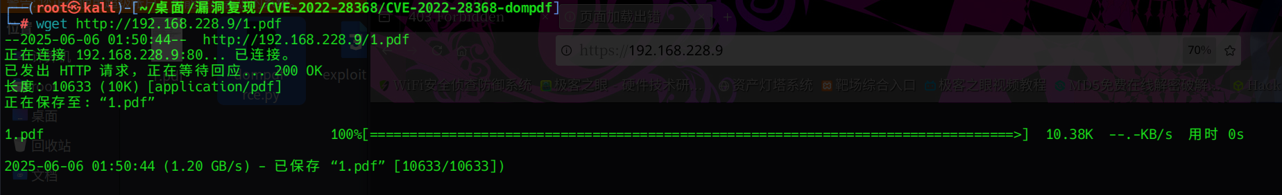 image-20250606015056060