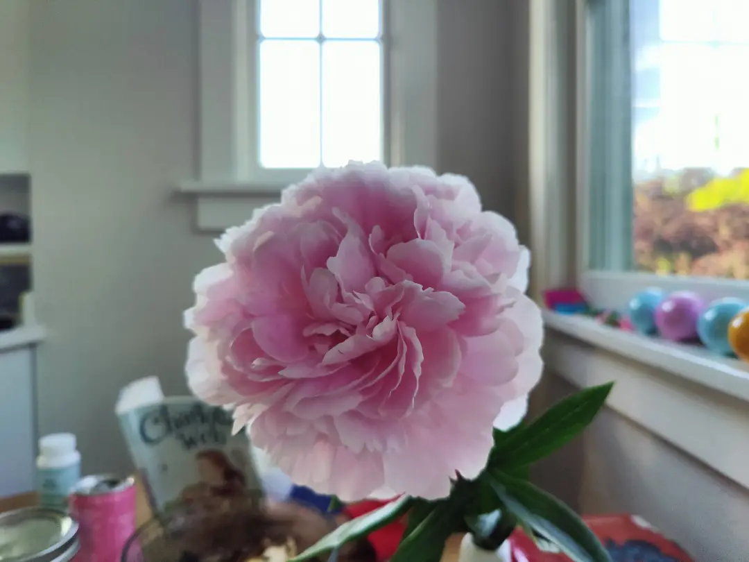 20250606.webp