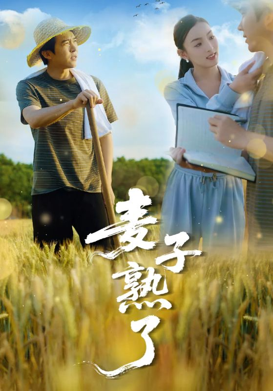 麥子熟了