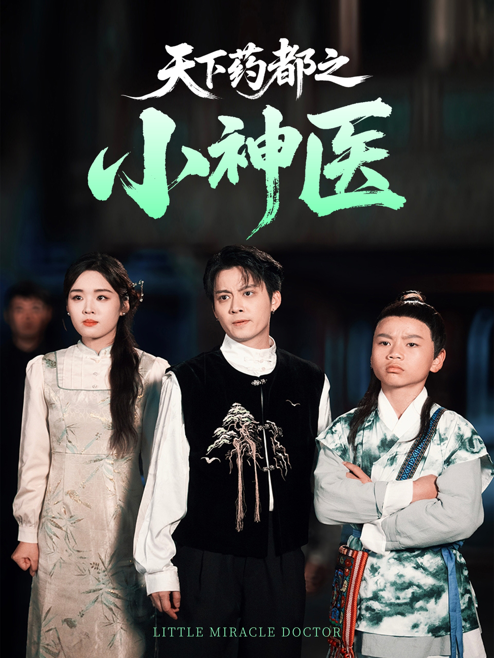 天下药都之小神医(2025) - 内地