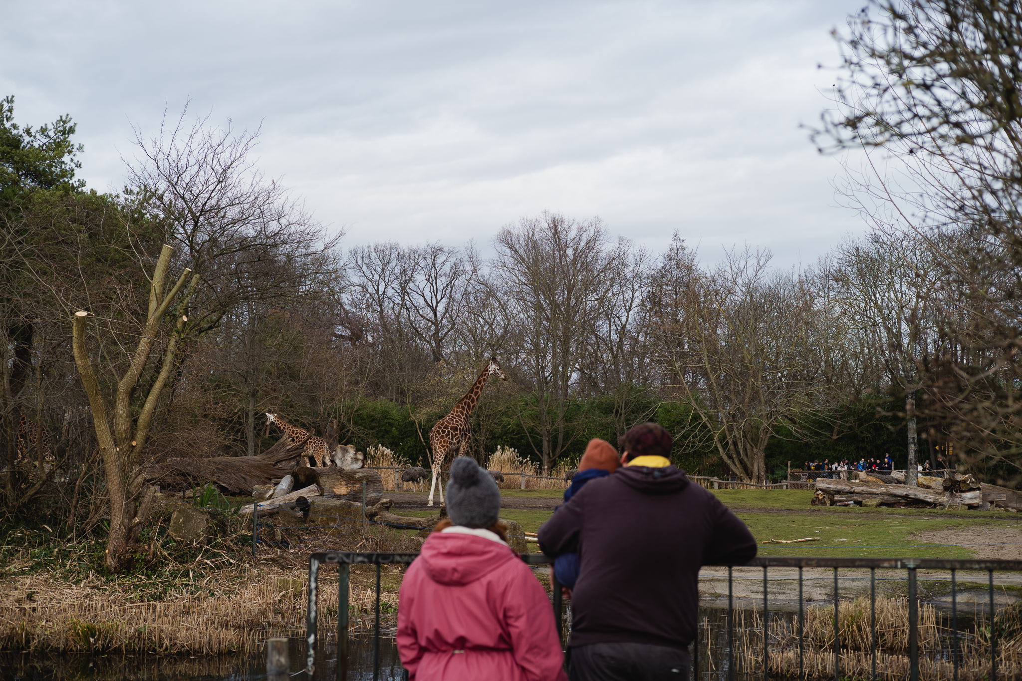 Leica_L1003810_20250125.jpg