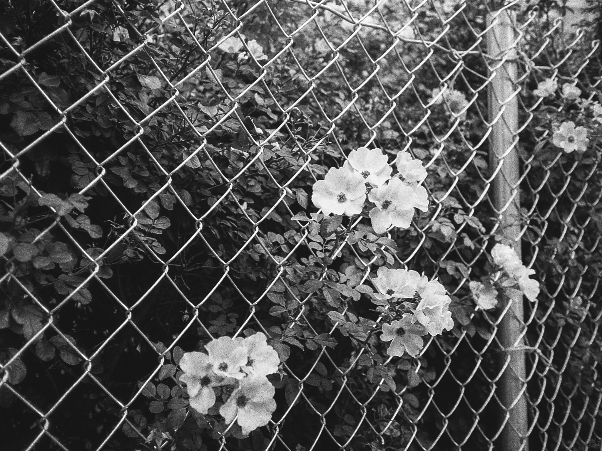 touch023_20220804.jpg