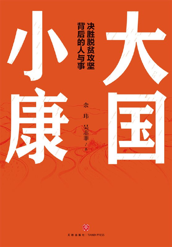 大国小康路书籍封面