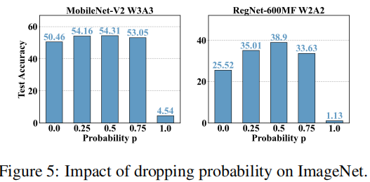 Figure. 11 不同概率 $p$ 下 QDrop 实验结果