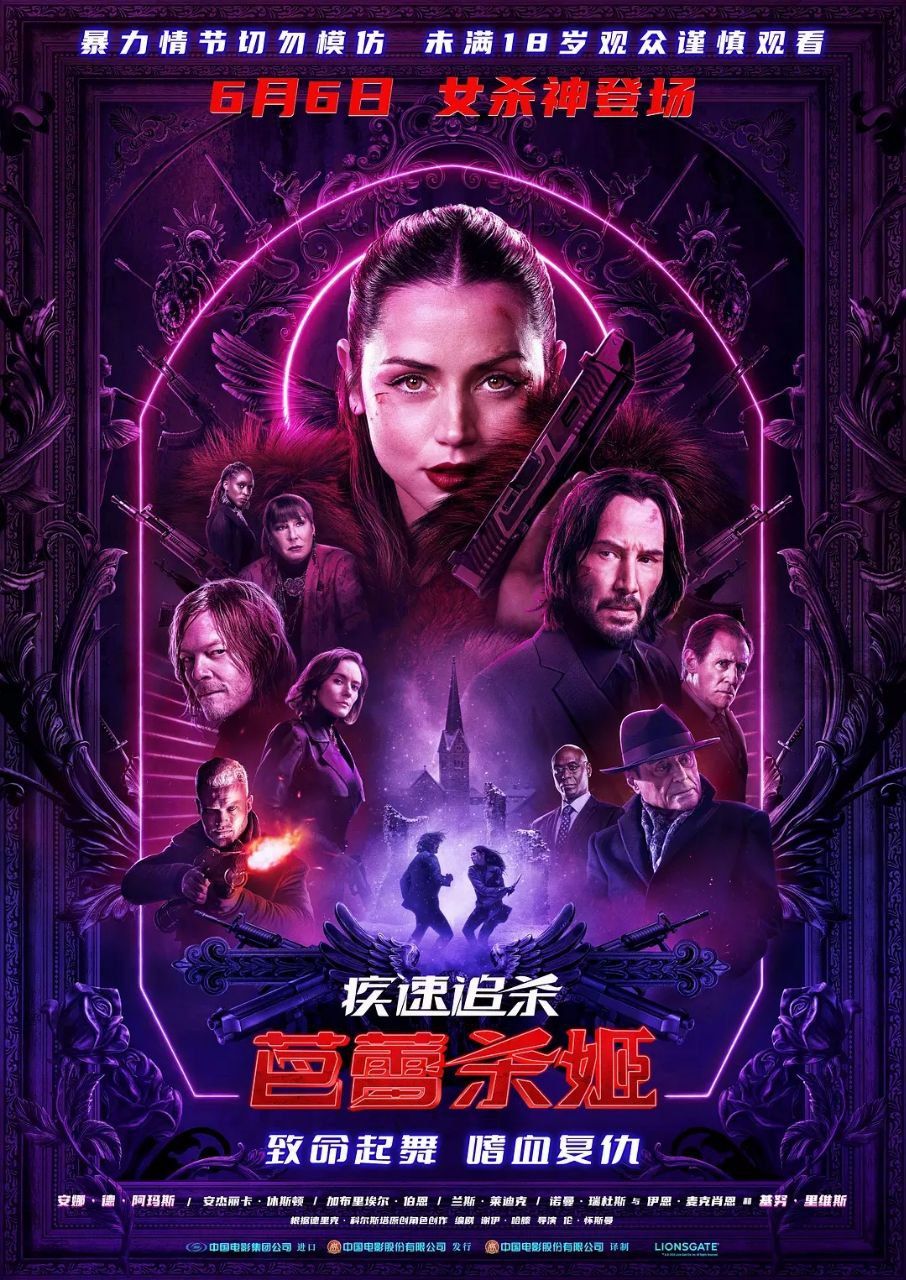疾速追杀芭蕾杀姬2025年最值得期待动作大片