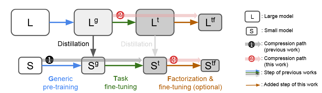three paths to create compressed language models