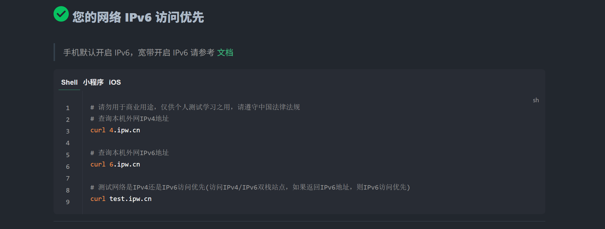 IPv6 檢測示意圖