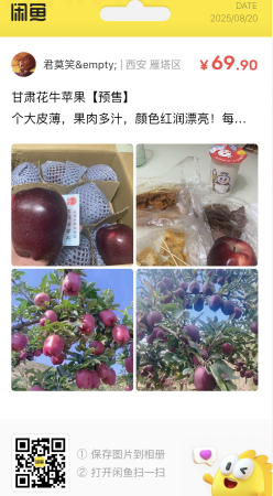 image-20250820105006884