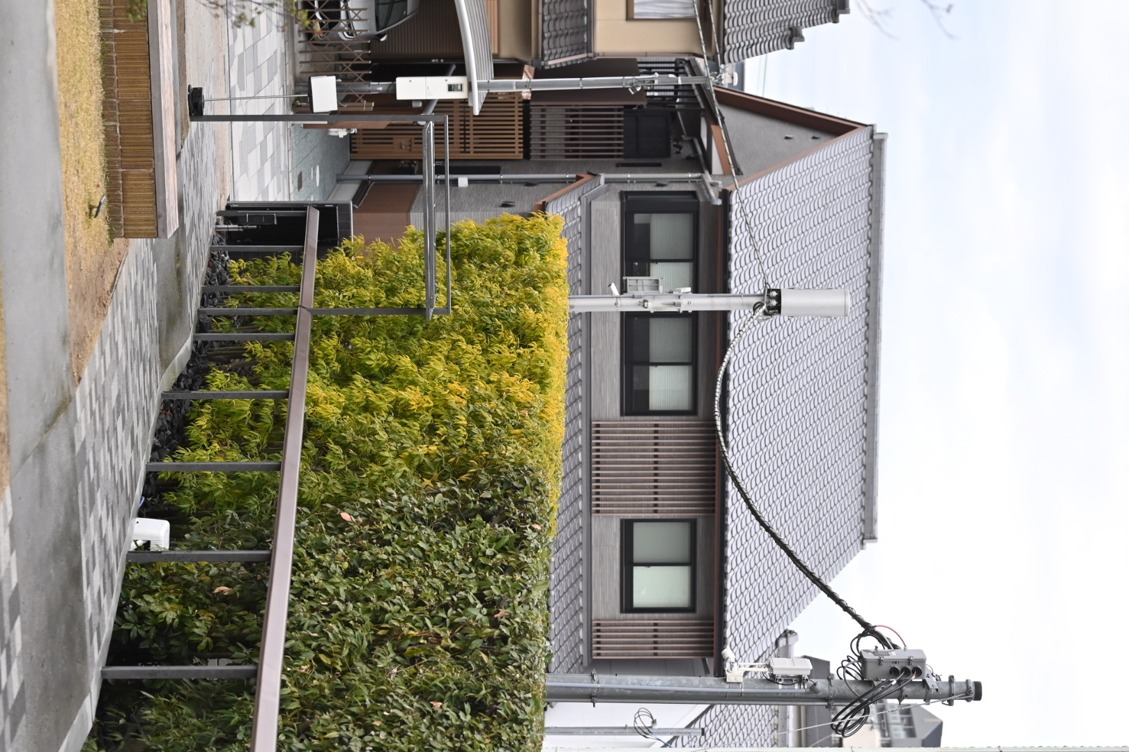 In front of the matcha store