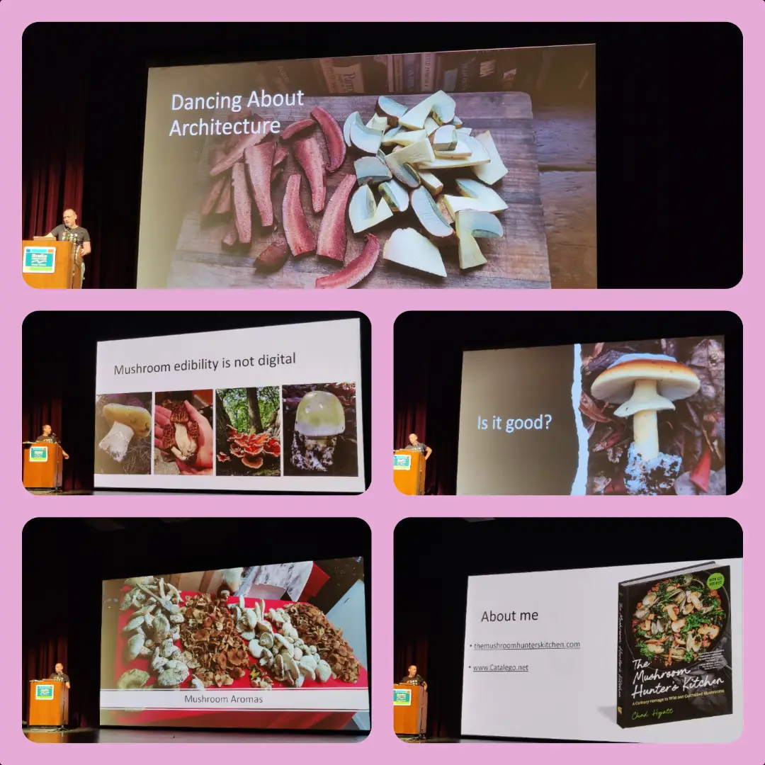 20251030-mushroom-show-lecture3.webp